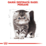 Royal Canin Persian Kitten hrana uscata pisica junior, 2 kg
