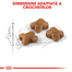 Royal Canin Kitten hrana uscata pisica junior, 4 kg