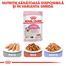 Royal Canin Kitten hrana uscata pisica junior, 4 kg