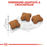 Royal Canin Kitten Sterilised hrana uscata pisica sterilizata junior, 2 kg