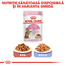 Royal Canin Kitten Sterilised hrana uscata pisica sterilizata junior, 2 kg