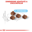 Royal Canin  Mother & BabyCat hrana uscata pisica mama si puii pana la 4 luni, 4 kg