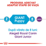 Royal Canin Giant Puppy hrana uscata caine junior etapa 1 de crestere , 15 kg
