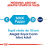 Royal Canin Maxi Puppy hrana uscata caine junior, 1 kg