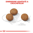 Royal Canin Maxi Puppy Hrană Uscată Câine 15 kg + 3 kg