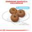 Royal Canin Maxi Starter Mother & Babydog gestatie/ lactatie pui hrana uscata caine 15 kg