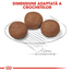 Royal Canin Medium Puppy Hrană Uscată Câine 10 kg