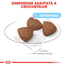 Royal Canin Medium Starter Mother & Babydog Hrană Uscată Câine 1 kg