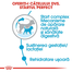 Royal Canin Mini Starter Mother & Babydog gestatie/ lactatie pui hrana uscata caine, 8.5 kg
