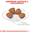Royal Canin X-Small Puppy hrana uscata caine junior, 500 g