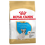 Royal Canin French Bulldog Puppy hrana uscata pentru catei Bulldog 1 kg
