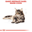 Royal Canin Maine Coon Hrana Uscata Pisica rasa Maine Coon 2 kg