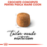 Royal Canin Maine Coon Hrană Uscată Pisică 400 g
