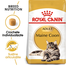 Royal Canin Maine Coon Hrană Uscată Pisică 400 g