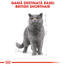 Royal Canin British Shorthair Hrană Umedă Pisică 85 g