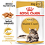 Royal Canin Maine Coon Hrană Umedă Pisică 85 g