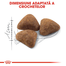 Royal Canin Indoor Adult hrana uscata pisica de interior, 400 g