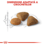 Royal Canin Exigent Savour Adult hrana uscata pisica pentru apetit capricios, 10 kg