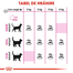 Royal Canin Exigent Savour Adult hrana uscata pisica pentru apetit capricios, 10 kg