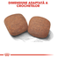 Royal Canin Giant Adult hrana uscata pentru caini adulti de talie foarte mare 15 kg