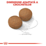 Royal Canin Maxi Adult hrana uscata caine, 4 kg