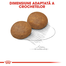 Royal Canin Maxi 5+ Adult hrana uscata caine intre 5 si 8 ani, 15 kg