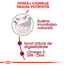 Royal Canin Medium Adult Hrană Uscată Câine 10 kg