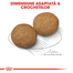 ROYAL CANIN Medium Adult hrana uscata caine, 4 kg