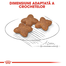 Royal Canin Mini Adult hrana uscata caini adulti de talie mica 800 g