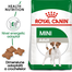 Royal Canin Mini Adult hrana uscata caini adulti de talie mica 800 g