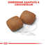 Royal Canin Giant Junior Hrană Uscată Câine 15 kg + 3 kg
