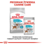 Royal Canin Mini Urinary Care hrana uscata caine pentru sanatatea tractului urinar, 3 kg