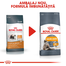 Royal Canin Hair&Skin Care Adult hrana uscata pisica pentru piele si blana, 4 kg