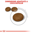 Royal Canin Hair&Skin Care Adult hrana uscata pisica pentru piele si blana, 4 kg