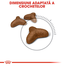 Royal Canin Light Weight Care Adult hrana uscata pisica limitarea cresterii in greutate,10 kg