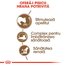Royal Canin Ageing 12 + hrana uscata pisica senior, 400 g