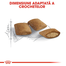 Royal Canin Ageing 12 + hrana uscata pisica senior, 400 g