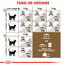 Royal Canin Ageing 12 + hrana uscata pisica senior, 400 g