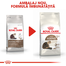 Royal Canin Ageing 12 + hrana uscata pisica senior, 400 g