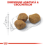 Royal Canin Indoor 7+ Hrana uscata pentru pisici de interior, 7 si 12 ani 400g