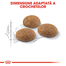 ROYAL CANIN Outdoor 30 hrana uscata pentru pisicile adulte care ies afara 2 kg