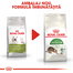 ROYAL CANIN Outdoor 30 hrana uscata pentru pisicile adulte care ies afara 4 kg