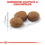 Royal Canin Sterilised Adult hrana uscata pisica sterilizata, 400 g