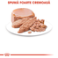 Royal Canin Mother & BabyCat hrana umeda pisica mama si puii pana la 4 luni, 195 g