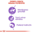Royal Canin Sterilised Loaf Adult hrana umeda pate pentru pisica sterilizata, 12 x 85 g