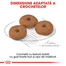 Royal Canin Mini Adult 12+ hrana uscata caine senior, 1.5 kg