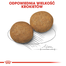 ROYAL CANIN Medium adult 15+3 kg GRATIS