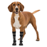 TRIXIE Șosete de protecție Walker Socks, L, 2buc.