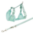 TRIXIE Junior Ham pentru catelusi, cu lesa 26–34 cm/10 mm, 2.00 m, culoare menta