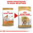 Royal Canin Poodle Adult Hrană Uscată Câine 3kg
